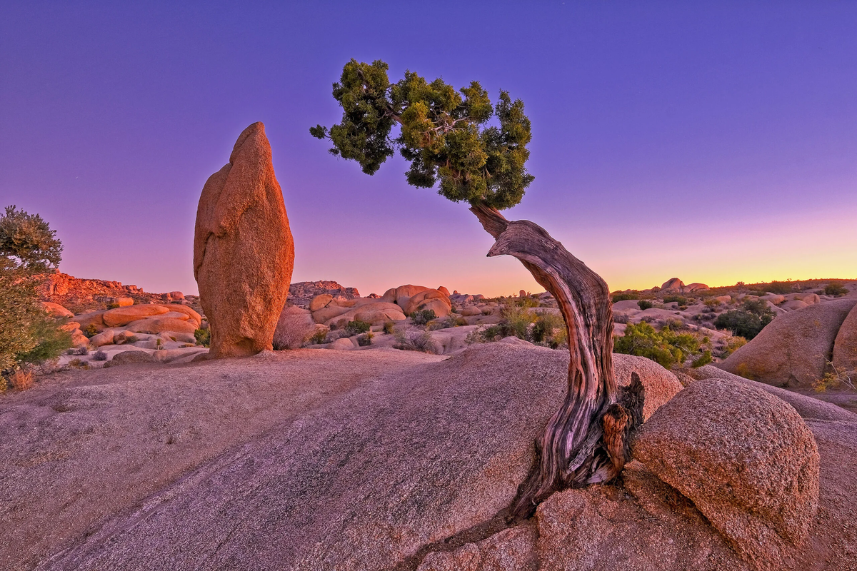 Joshua Tree National Park, USA