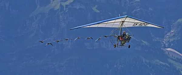 Zigermeet, Mollis, Switzerland